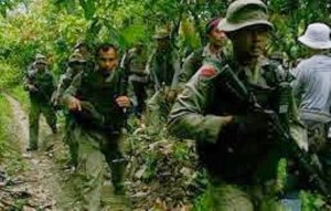 Joint Brimob/TNI sweep team in Nabire oil Palm plantations. Photo:FIle